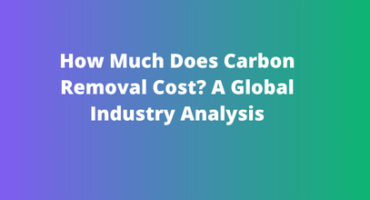 How Much Does Carbon Removal Cost A Global Industry Analysis