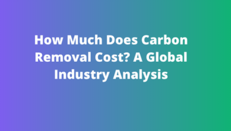 How Much Does Carbon Removal Cost A Global Industry Analysis How Much Does Carbon Removal Cost A Global Industry Analysis