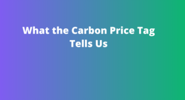 What the Carbon Price Tag Tells Us
