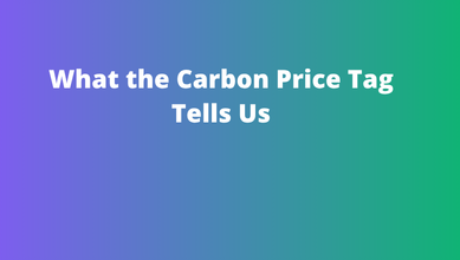 What the Carbon Price Tag Tells Us What the Carbon Price Tag Tells Us